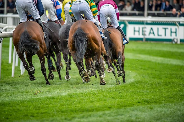 Grand National Race Results