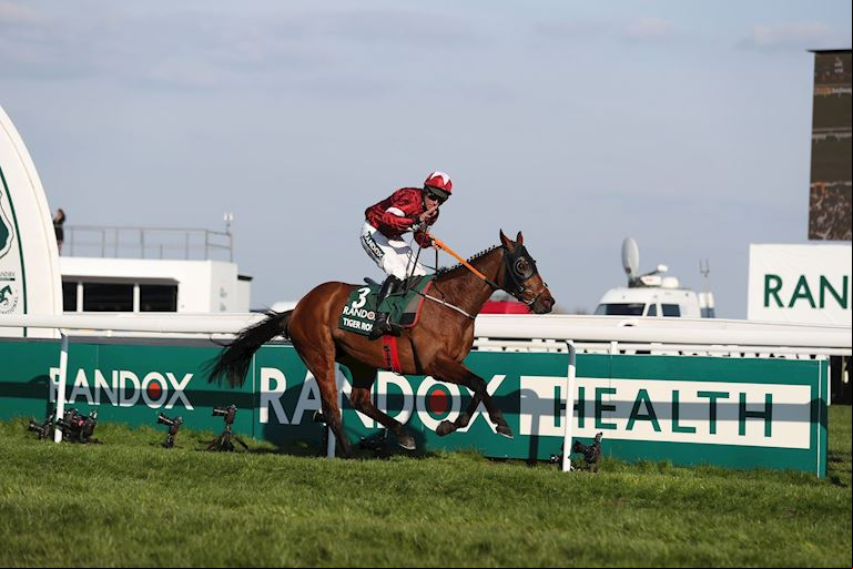 Grand National 2019 Results & Runners