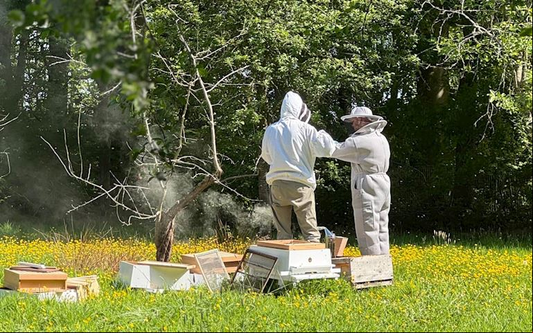 The Jockey Club Venues launches beekeeping project  to  biodiversity at Haydock Park
