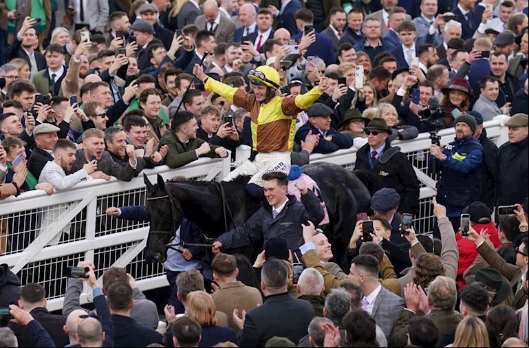 The Boodles Cheltenham Gold Cup