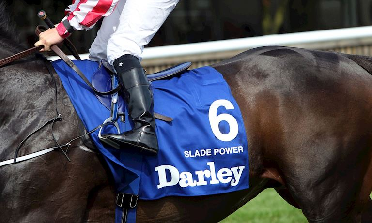 7. SLADE POWER.jpg