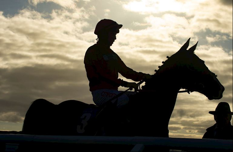 Racehorses