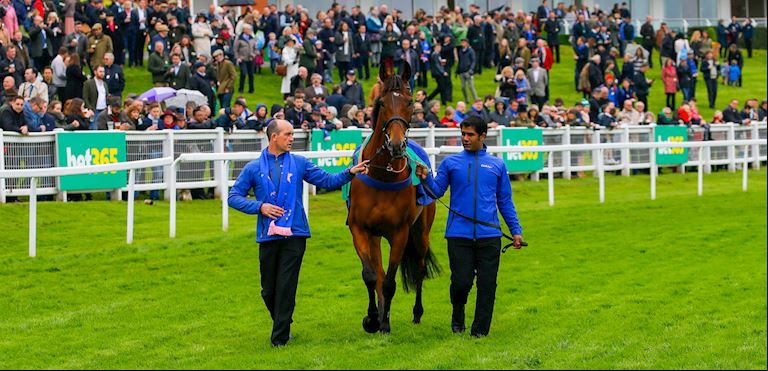 Cue Card: A New Chapter