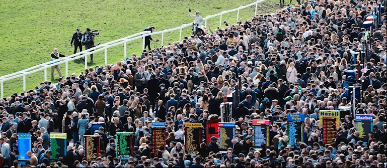 Eight Reasons To Visit The Festival