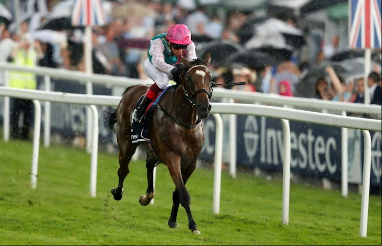 Enable (1) (1).jpg