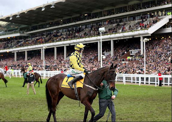 Previous Winners