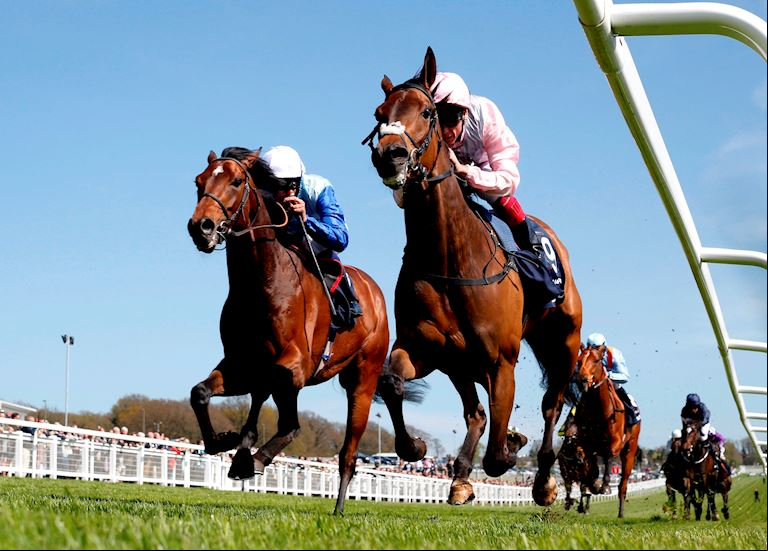 Racecourse Committee