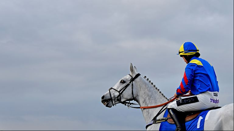 EXE-JUNIOR-JUMPERS-RACEDAY-3