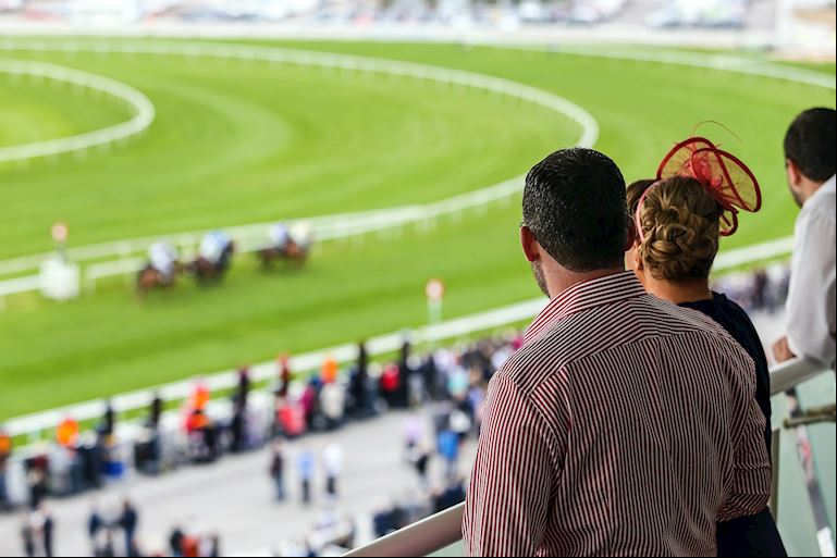 Spectator Guides