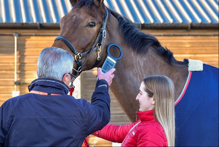 Horse Welfare at Aintree Racecourse
