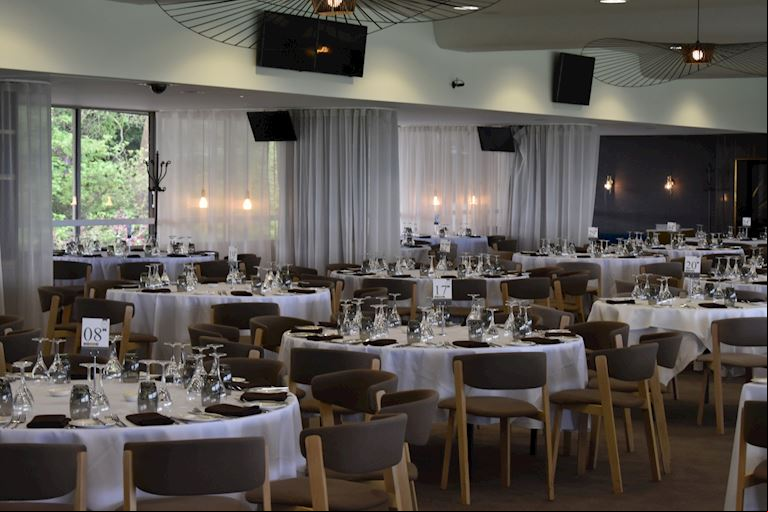 Equus Suite