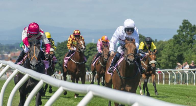 Mark Johnstone's First Ever Winner ed