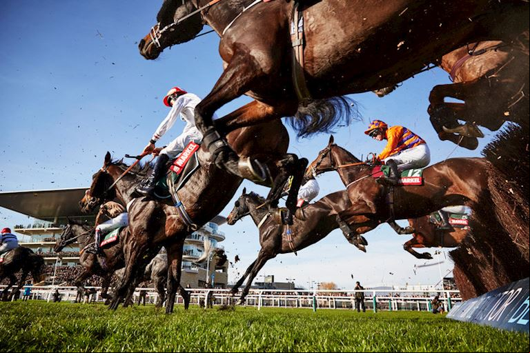 CHELTENHAM FESTIVAL PRIZE DRAW: HIP