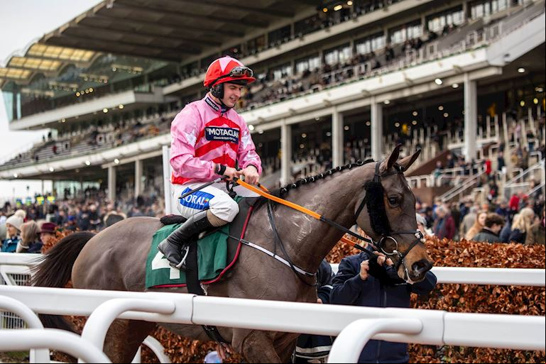 Cheltenham December Meeting-174-min.jpg