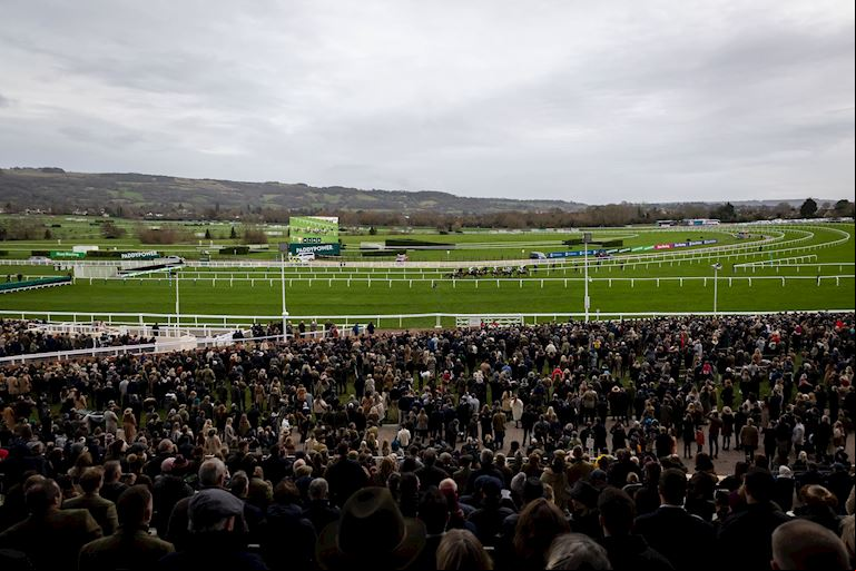 Cheltenham NYD-102-min.jpg