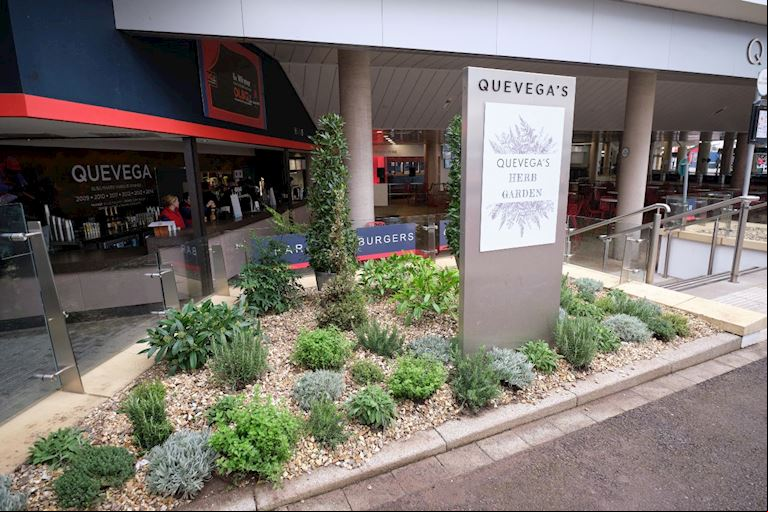 Quevega_.jpg
