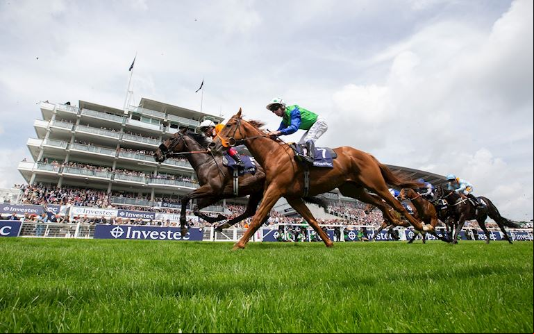Ground shot of Masar Winning the 2018 Derby. Chesnut horse with jockey in bright blue silks. Queen