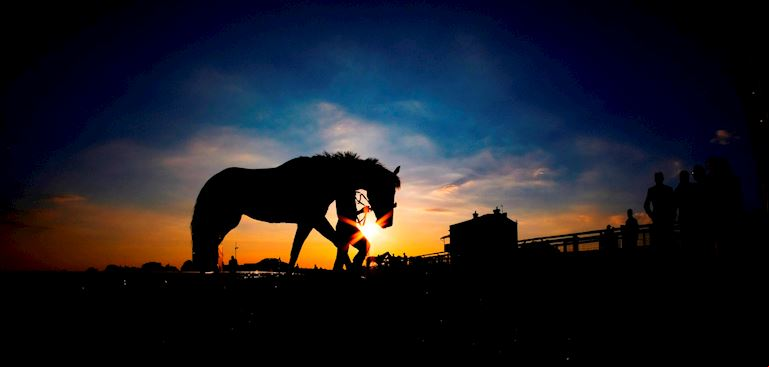 Epsom Downs Press Enquiries
