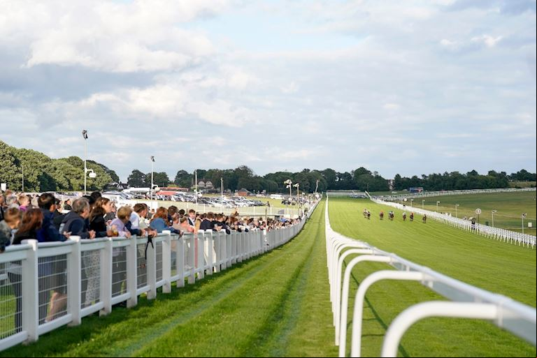 The Stands Enclosure