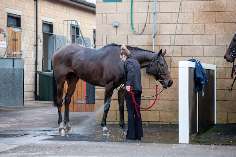 Cheltenham NYD 23-530.jpg