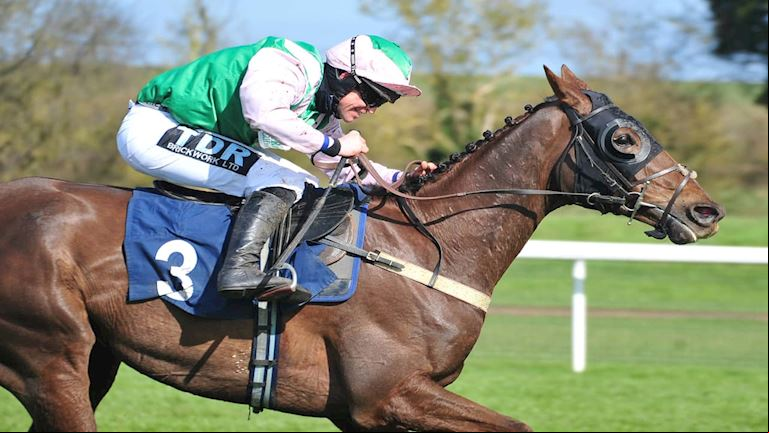 LORD SPARKY ANNOUNCED AS RETRAINING OF RACEHORSES “HORSES FOR COURSES” AMBASSADOR FOR HUNTINGDON RAC