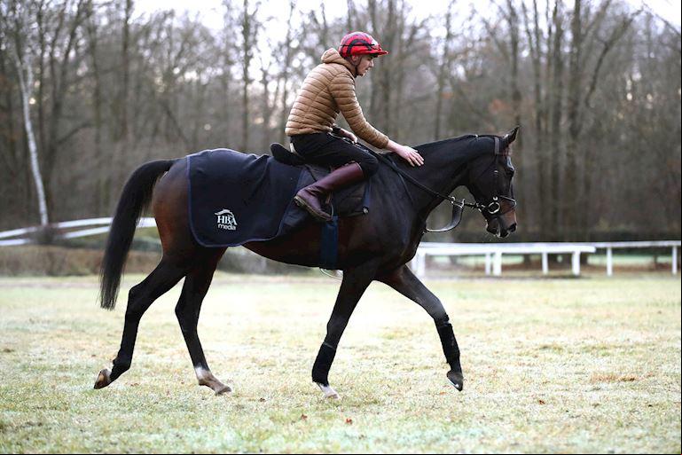 IL EST FRANCAIS AIMING TO REVIVE CHRISTMAS TRADITION OF FRENCH-TRAINED WINNERS ON BOXING DAY