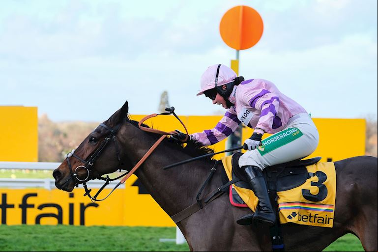 Goffs Launch New PTP Sale at Betfair Tingle Creek Festival 