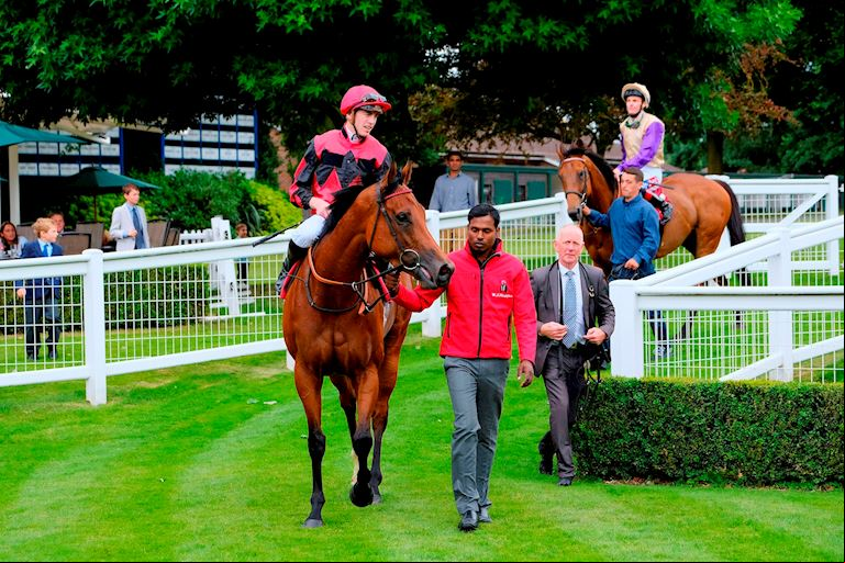 Sandown Park Stabling & Racing Staff  Information