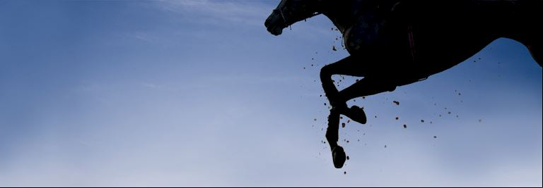 39-YEAR WAIT FOR A WINCANTON WINNER OVER