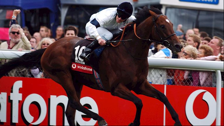 MOTIVATOR – 2005 DERBY
