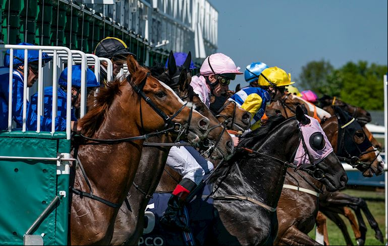Jockey Club Racedays